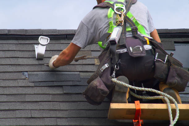 Best Roof Maintenance Services  in Crystal Lawns, IL