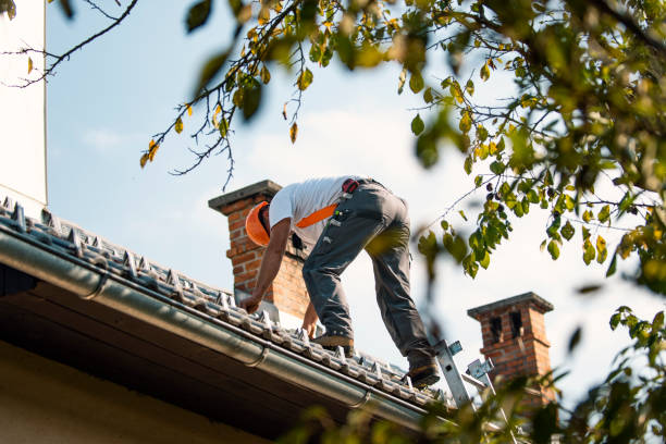 Professional Roofing Contractor in Crystal Lawns, IL