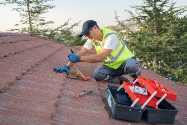 Best Roof Repair Services  in Crystal Lawns, IL