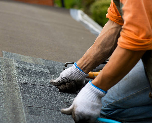 Best New Roof Installation  in Crystal Lawns, IL