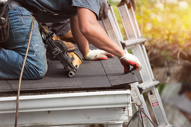 Best Flat Roof Repair Services  in Crystal Lawns, IL