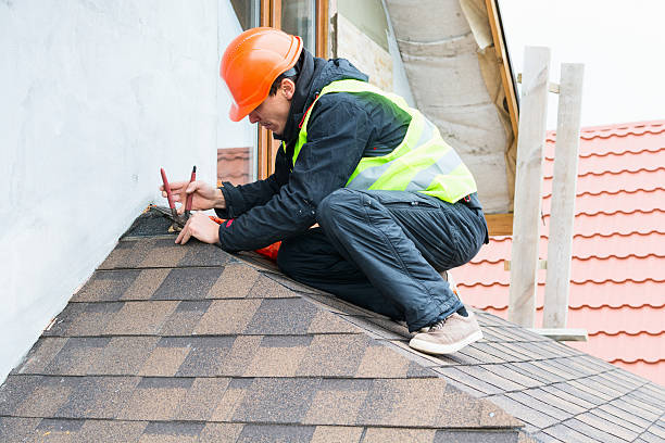 Best Roof Maintenance Services  in Crystal Lawns, IL