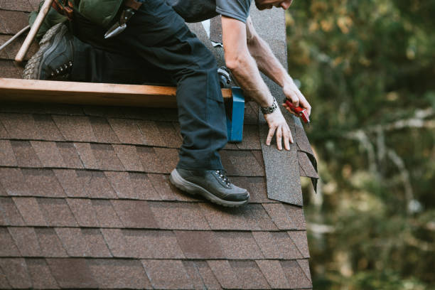 Roof Gutter Cleaning in Crystal Lawns, IL